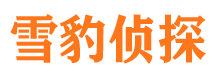 恩施市调查公司